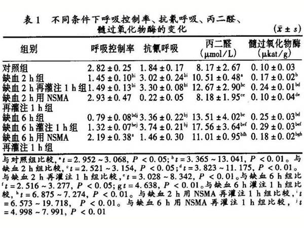 線粒體功能與骨骼肌缺血再灌注損傷的關系